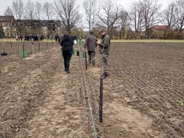 Kolejny sad w ramach projektu 